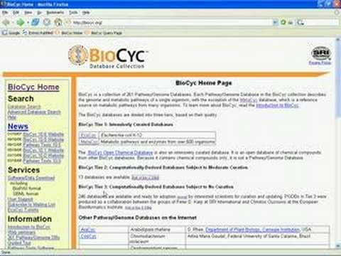 Introduction to BioCyc Part 1A