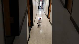 NAO Robot walking hallway at CSULB RSSC by walter martinez