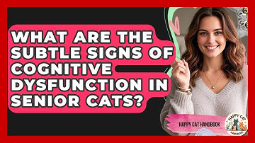 What Are The Subtle Signs Of Cognitive Dysfunction In Senior Cats? - Happy Cat Handbook