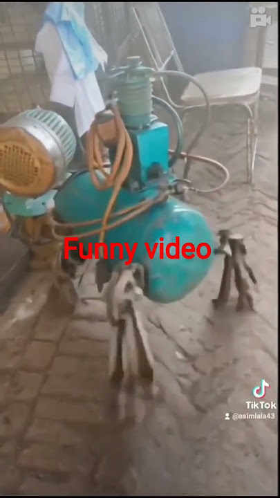 #funny video #short video #shotshttps://subfinal.com/SL/33075