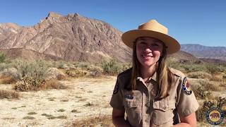 Anza borrego desert state park ports programs