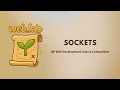MIT web.lab (6.962) - Day 7: Sockets