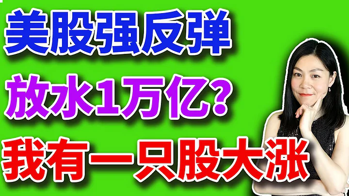 美股分析賺錢：美股強勁反彈 放水一萬億？我持有的一隻股大漲 - 天天要聞