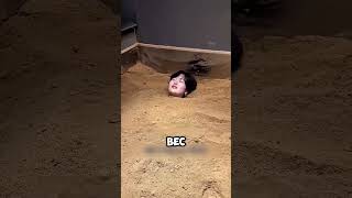 Это изменит твоё путешествие 😱 #short