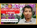 Curso gratis de cultivo de orqudeas  cmo cultivar orqudeas fcil siendo principiante 2023