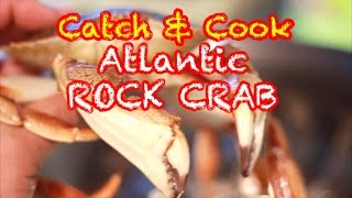 Catch & Cook - Atlantic Rock Crab