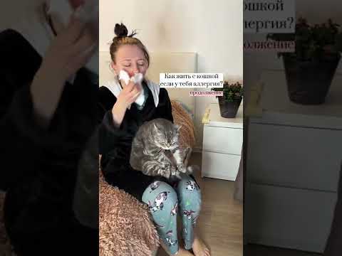 Видео: 7 советов, как жить с аллергией на домашних животных