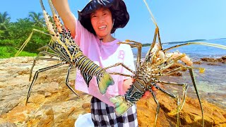 Perhaps an underwater volcano erupted, many lobsters migrated to cooler beaches