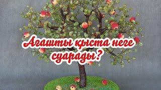 Ағаш суару. Қыста талды неге суарады? Жеміс ағаштары.