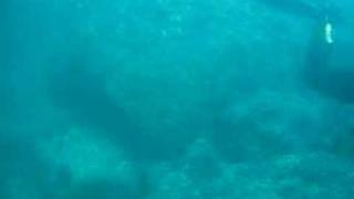 Buceo en la costa de l'Estartit