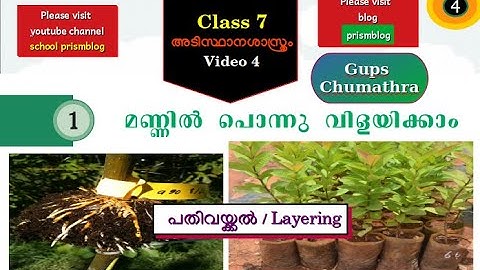 Class 7 Basic science unit 1 mannil ponnu vilayikkam video 4