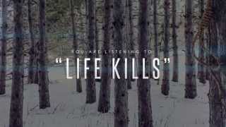 Watch In Light Of Us Life Kills video