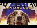 ‘The Secret Life of Dancing Dogs&#39; Premieres Nov. 17