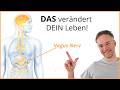 NERVENSYSTEM BERUHIGEN - Nur eine Übung (Vagus Nerv Reset)