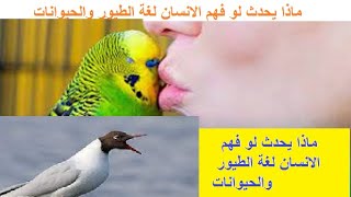 ماذا يحدث لو فهم الانسان لغة الطيور والحيوانات  وهل تعلم احد البشر لغة الطير ؟