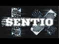 Martin Garrix SENTIO Full Album Mix by Sakul