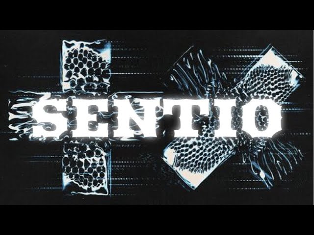 Martin Garrix SENTIO Full Album Mix by Sakul class=