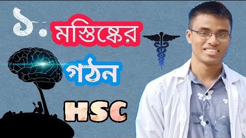 ব্রেইন পর্ব০১,মস্তিষ্ক এর গঠন,সমন্বয় ও নিয়ন্ত্রণ,৮ম অধ্যায় zoology chapter 8 lecture 1 part1