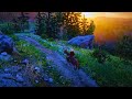 Red Dead Redemption 2 | From Green Valleys to Snowy Peaks 🌲❄️🐎