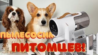 Обзор груминг пылесоса Genio