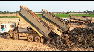 Hyundai, Daewoo, Scania, Nissan Heavy loading Dump trucks transporting dirt & Shantui Dozer Working