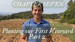 Planting our First Vineyard (This time it worked): Chapter 7 by The Lost Gardens of Chateau de Rosieres 14,647 views 7 months ago 18 minutes