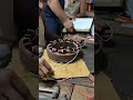 62.5 kva kirloskar brush less alternator auxilary exiter field coil rewinding l electric motor l