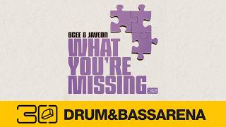 BCee & Javeon - What You're Missing