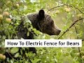 How To Electric Fence for Bears