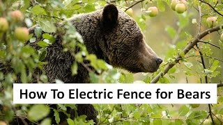 How To Electric Fence for Bears