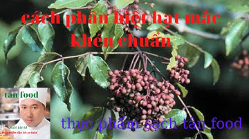 Hạt mắc khén mua ở đâu thì chuẩn? các bạn nghe em dân tộc chia sẻ nhé.thực phẩm sạch tân food