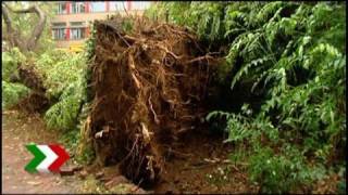 Unwetter über NRW: Windhose zog durch Moers und Duisburg