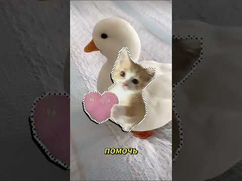 ⁉ВЫ ТОЧНО БЕДЕТЕ В ШОКЕ КОГДА УЗНАЕТЕ КАК РАБОТАЕТ ЭТА ШТУКА⁉