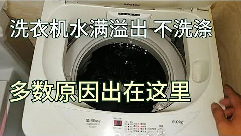 洗衣機一直進水不洗滌，哪裡出了問題？多數原因出在這裡！ - 天天要聞