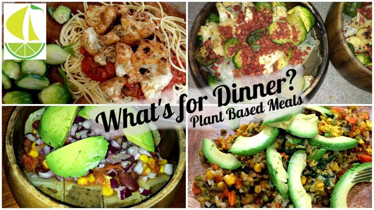 What's for Dinner? PLANT BASED | Galley cooking