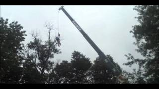 Crane-Tree Work Quakertown Area Bucks County PA orserlandscaping com