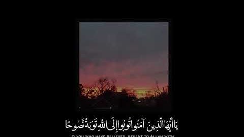 يَا أَيُّهَا الَّذِينَ آمَنُوا تُوبُوا إِلَى اللَّهِ تَوْبَةً نَّصُوحًا | ‏ ‏القارئ: اسلام صبحي