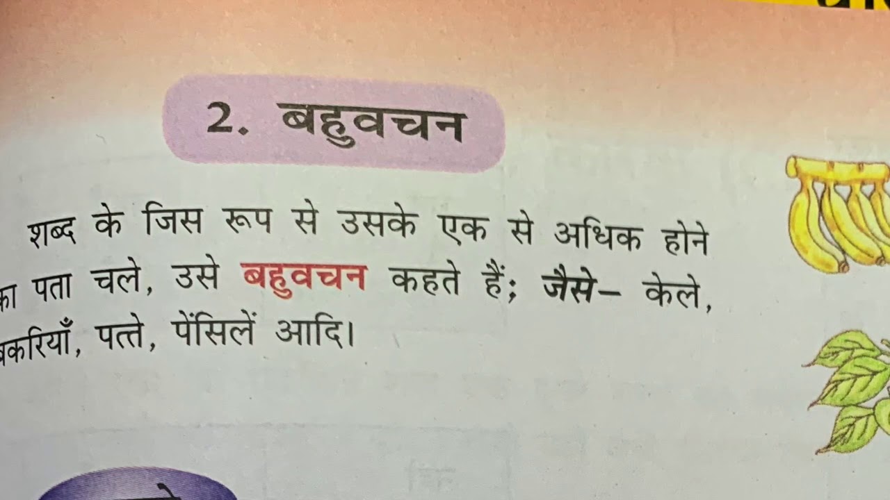vachan hindi grammar youtube