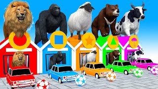 5 Giant Duck, Monkey, lion,bear,gozilla, cow, Sheep, Transfiguration funny animal 2023