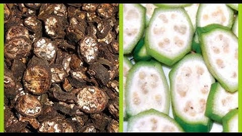 Sỏi Thận Có To Bằng Quả Cam Cũng Bị Đánh Bay, Nhờ Ăn Lõi Chuối Theo Cách Này