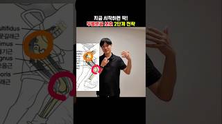 2단계 무릎관절 안정화운동. 무릎연골, 반월상 연골손상 보호위한 운동전략 #무릎통증