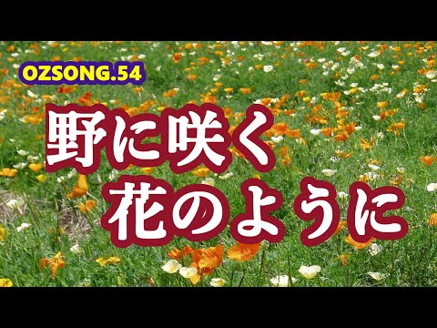 ソプラニーノのリコーダーを吹いて歌いました。「野に咲く花のように」
