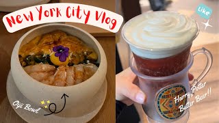 🇰🇷 sub) NEW YORK Vlog| Harry Potter Store, Oiji Mi, Times Square, Bear Donut NYC