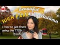 Visit beautiful High Park in Autumn before the leaves are gone! | Living in Canada