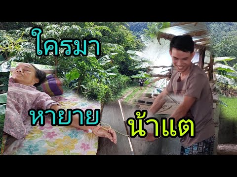 ผลสลากกินแบ่งรัฐบาล วันที่ 1 พย. 2567