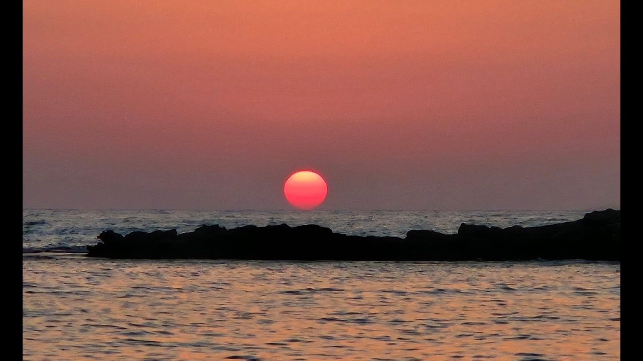 דליה רגב  - סרט של נגה אורון