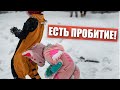 😵 Апрельская шутка ✅ ФУРРИ встреча в МОСКВЕ