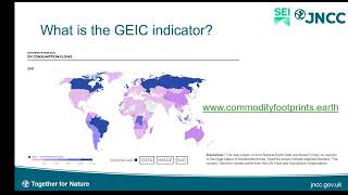 A UK policy introduction to the Global Environmental Impacts of Consumption (GEIC) Indicator