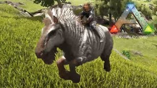 77 Ark Rag 厳選エクウス 馬 3匹テイム Pc版公式pve Ark Survival Evolved Youtube