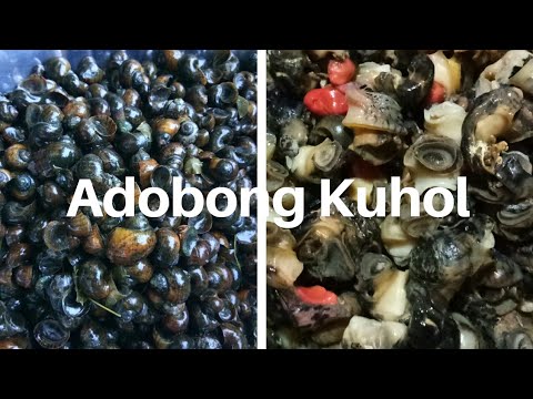 ADOBONG KUHOL